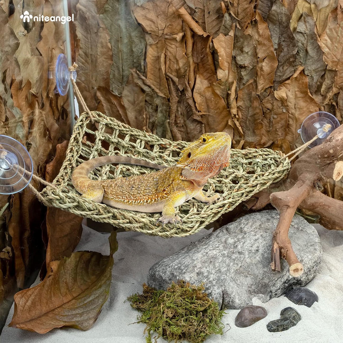 Hängematte für Reptilien, Dreieck 17'' x 12.5''