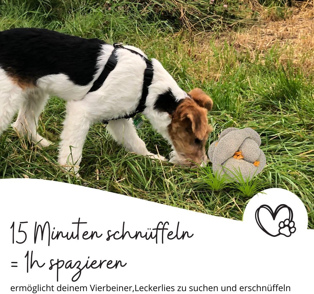 Schnüffelball