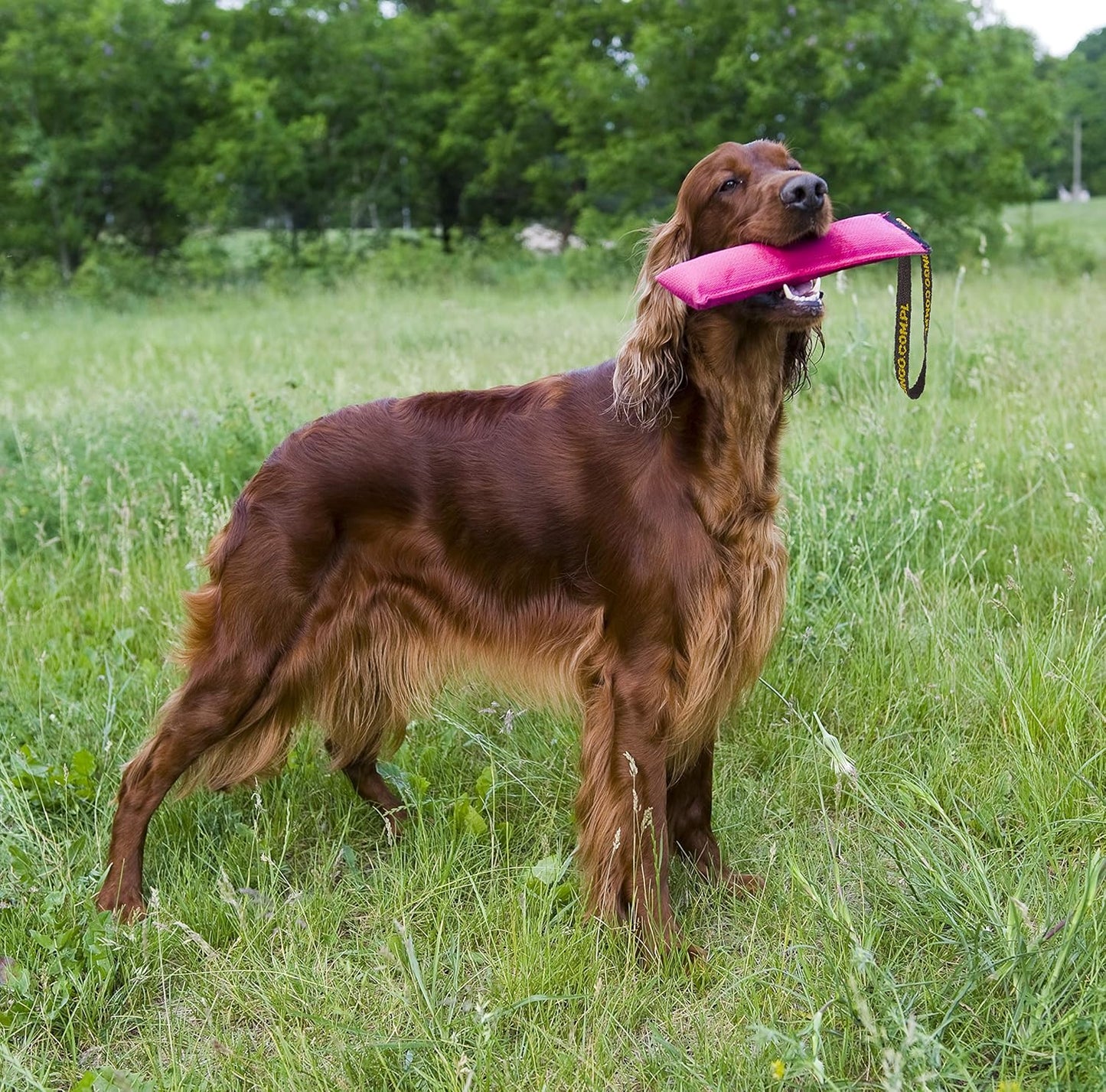 4-teiliges Hundespielzeug Beisswurst-Set für Apportieren, Agility-Training, Tauziehen, Set 4 Stück: 27 x 6 cm Mehrfarbig