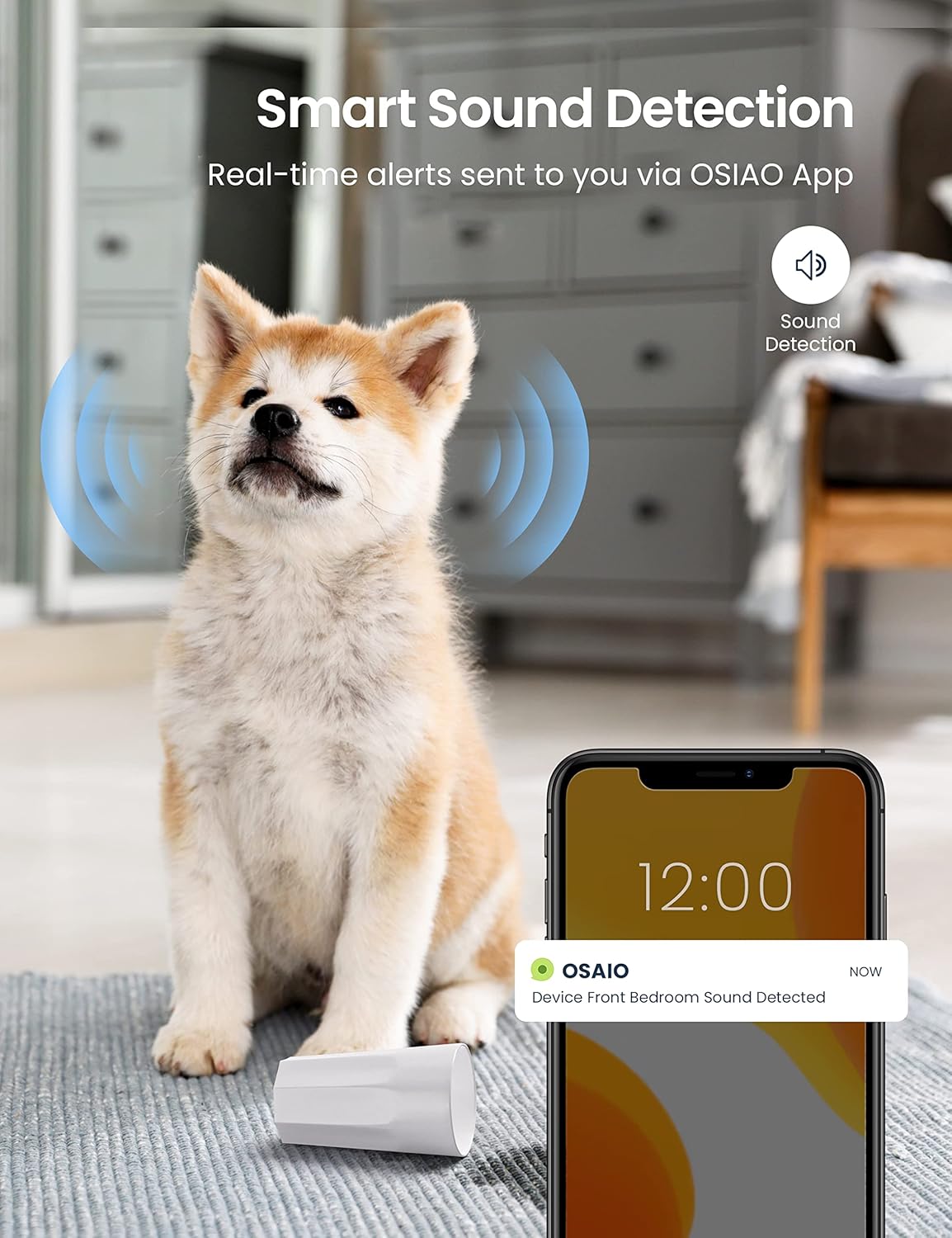 Überwachungskamera Innen mit 360° PTZ und Nachtsicht