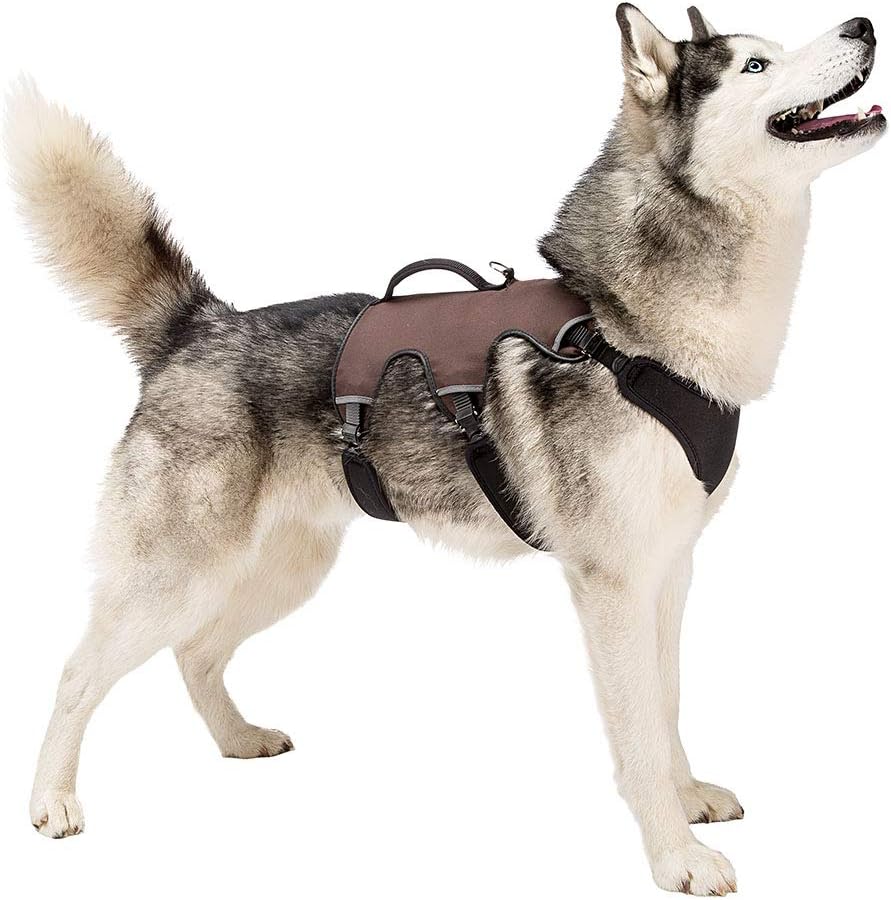 Hundegeschirr, Braun, Large