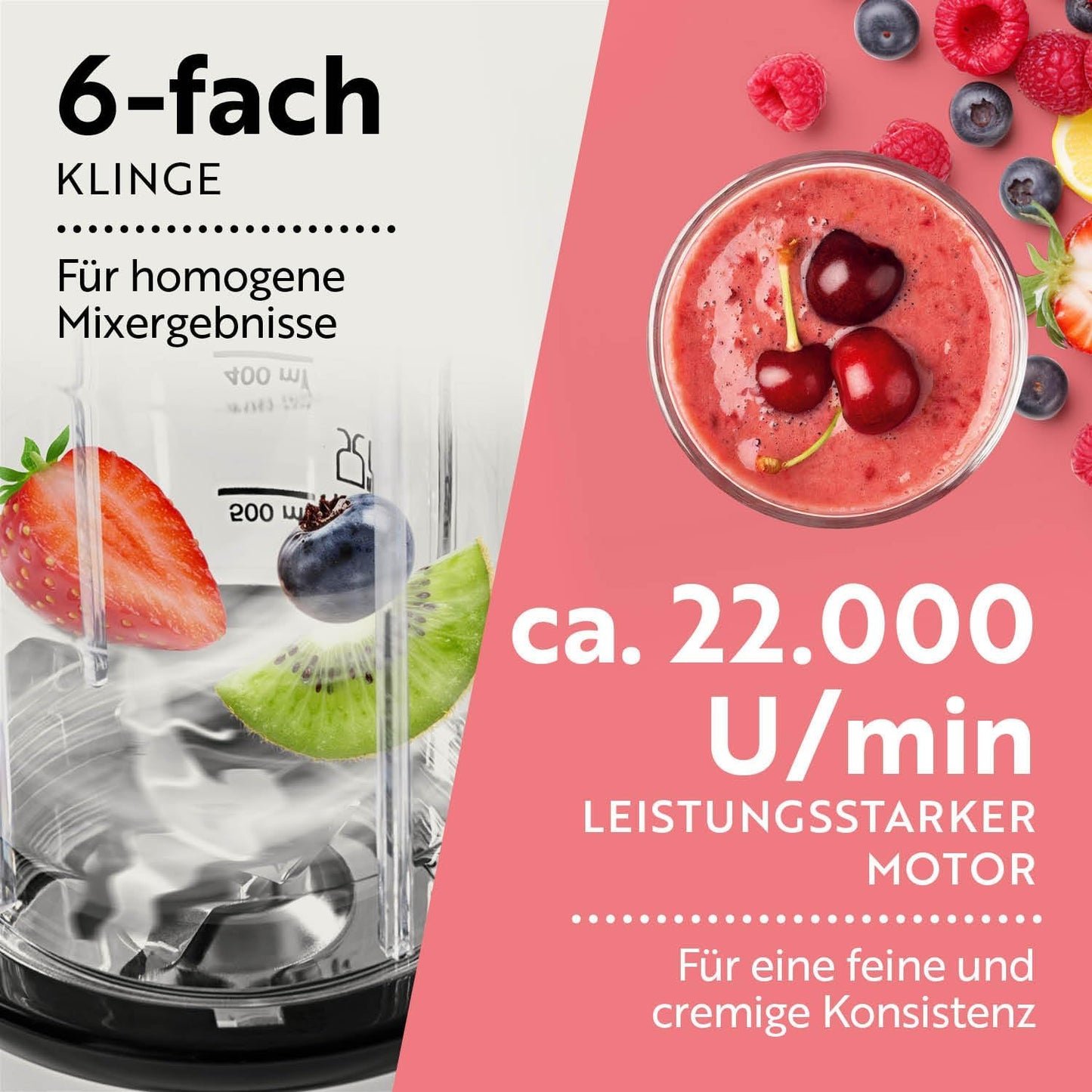 Nährstoffextraktor, Silber-schwarz | 500 W Nutrition Mixer | M-set