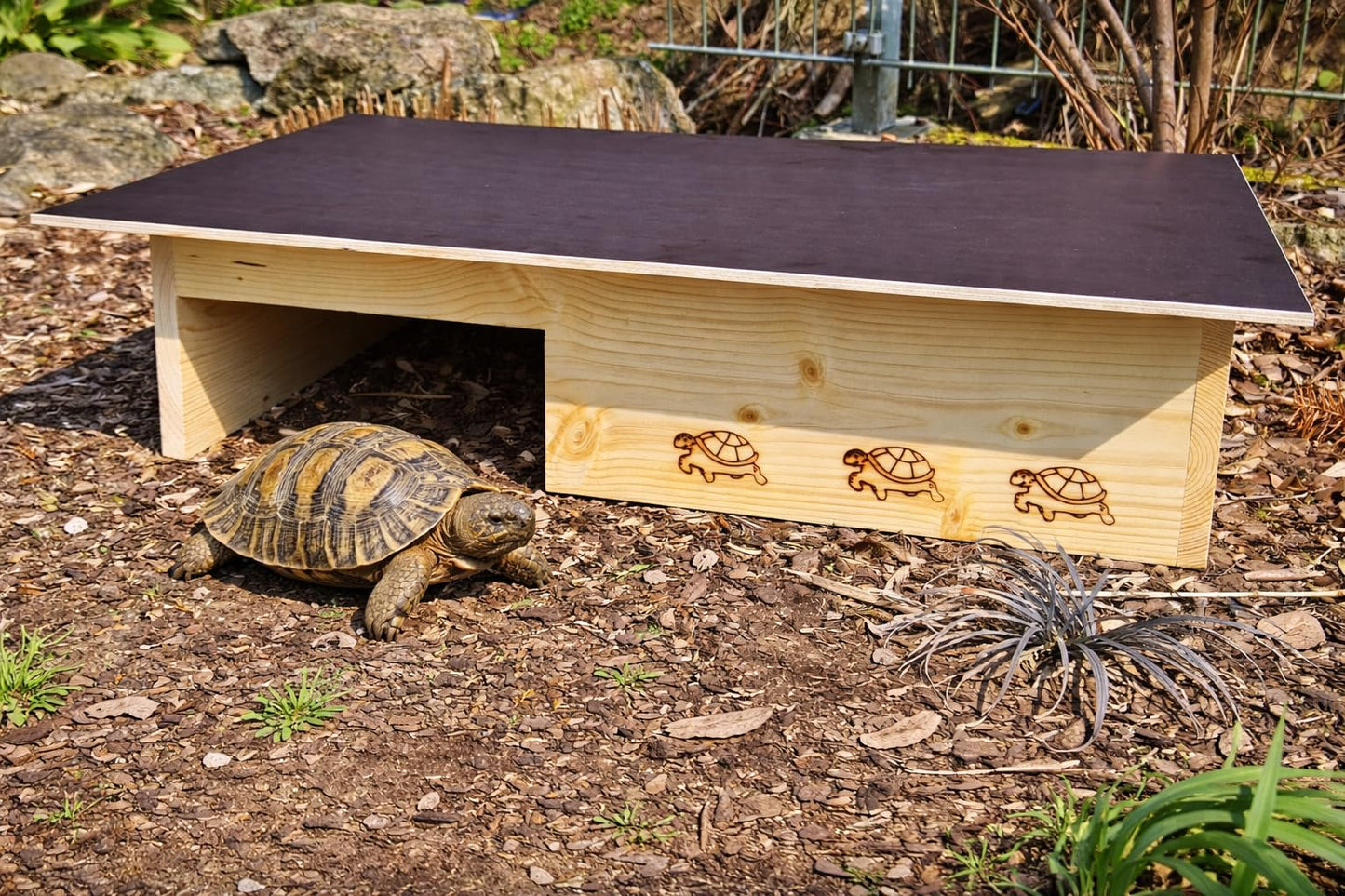 Schildkrötenhaus SH14, lasiert 1