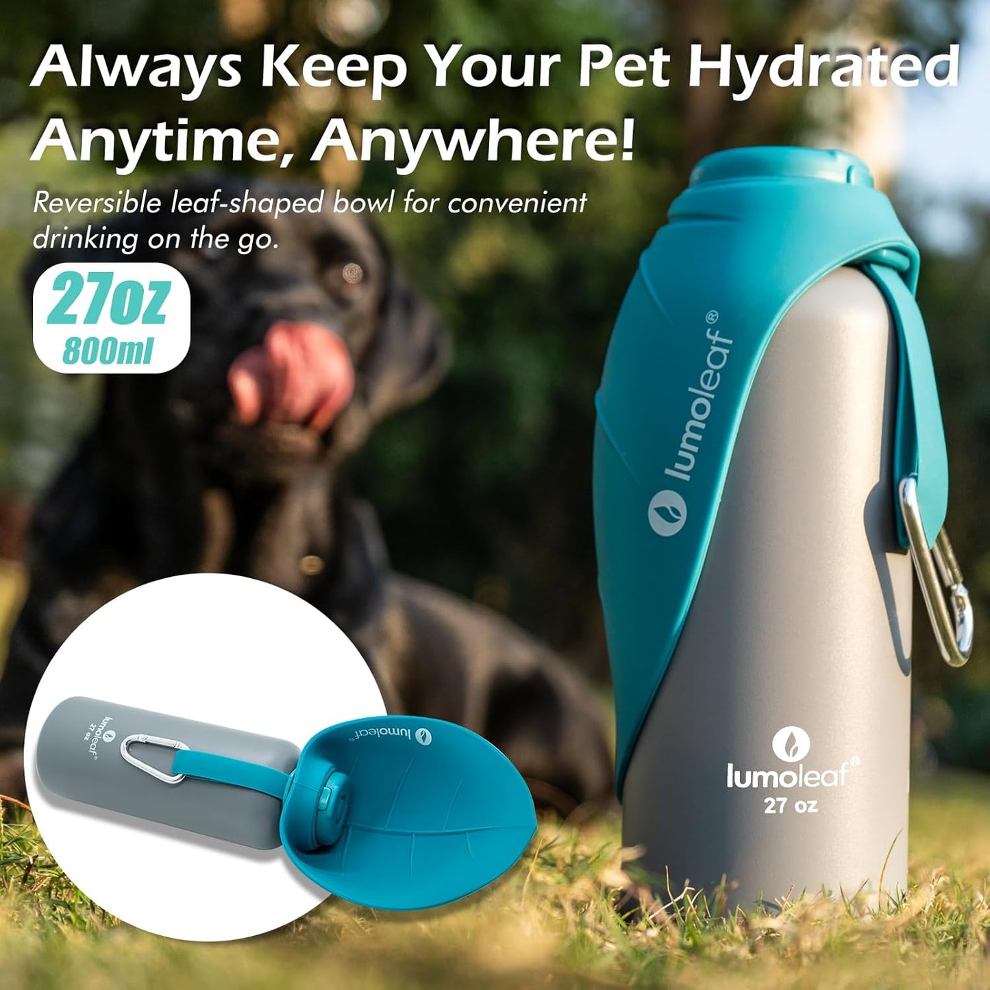 Isolierte Wasserflasche für Hunde, Bleu 800 ml