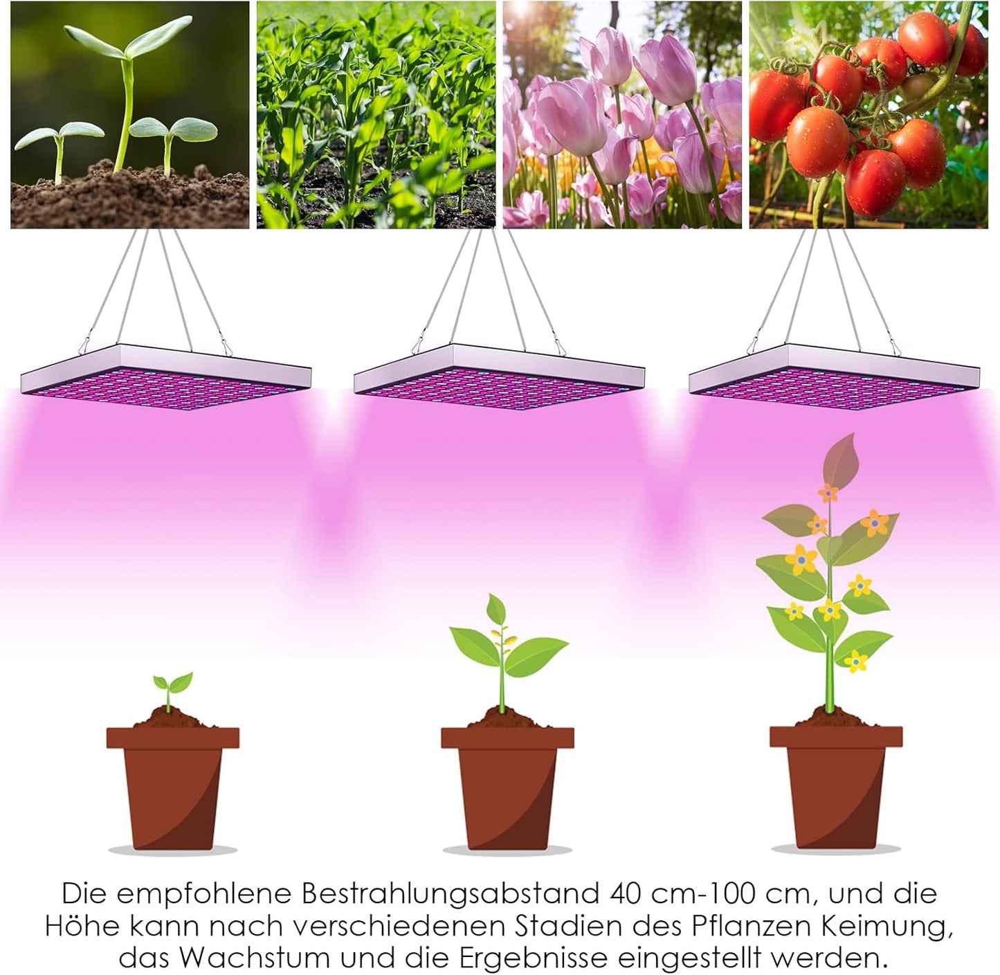 LED-Pflanzenlampe, 1x 45W