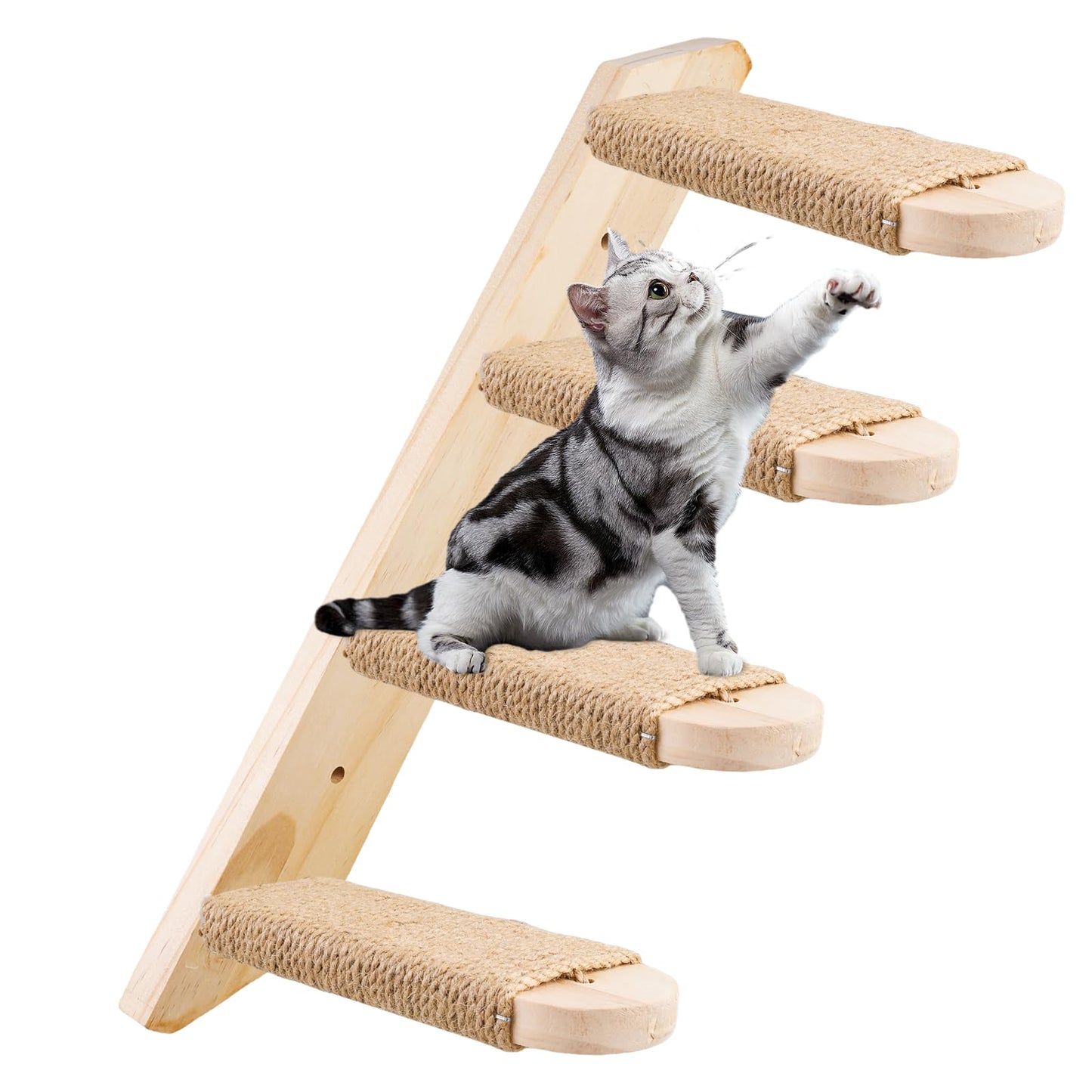 Kletterwand & Leiter für Katzen
