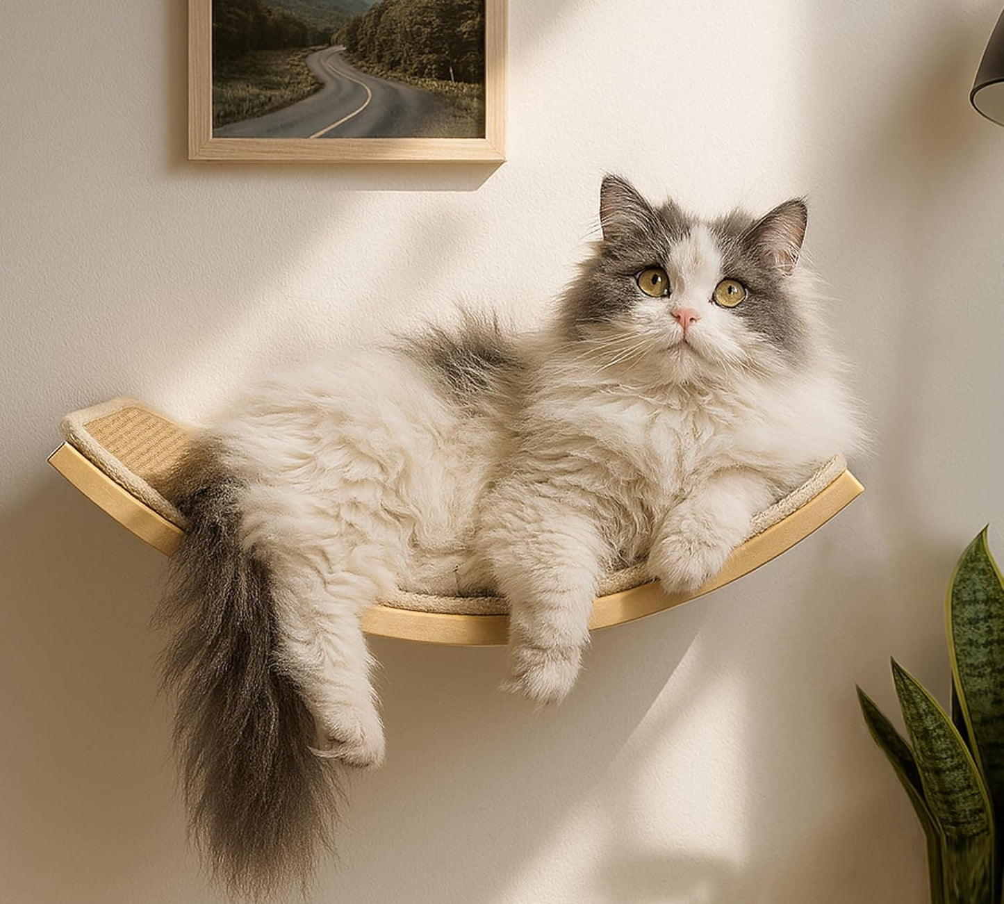 Katzen Wandregal mit Sisal-Kratzmatte, Gelb 1PC Katze Wandregal