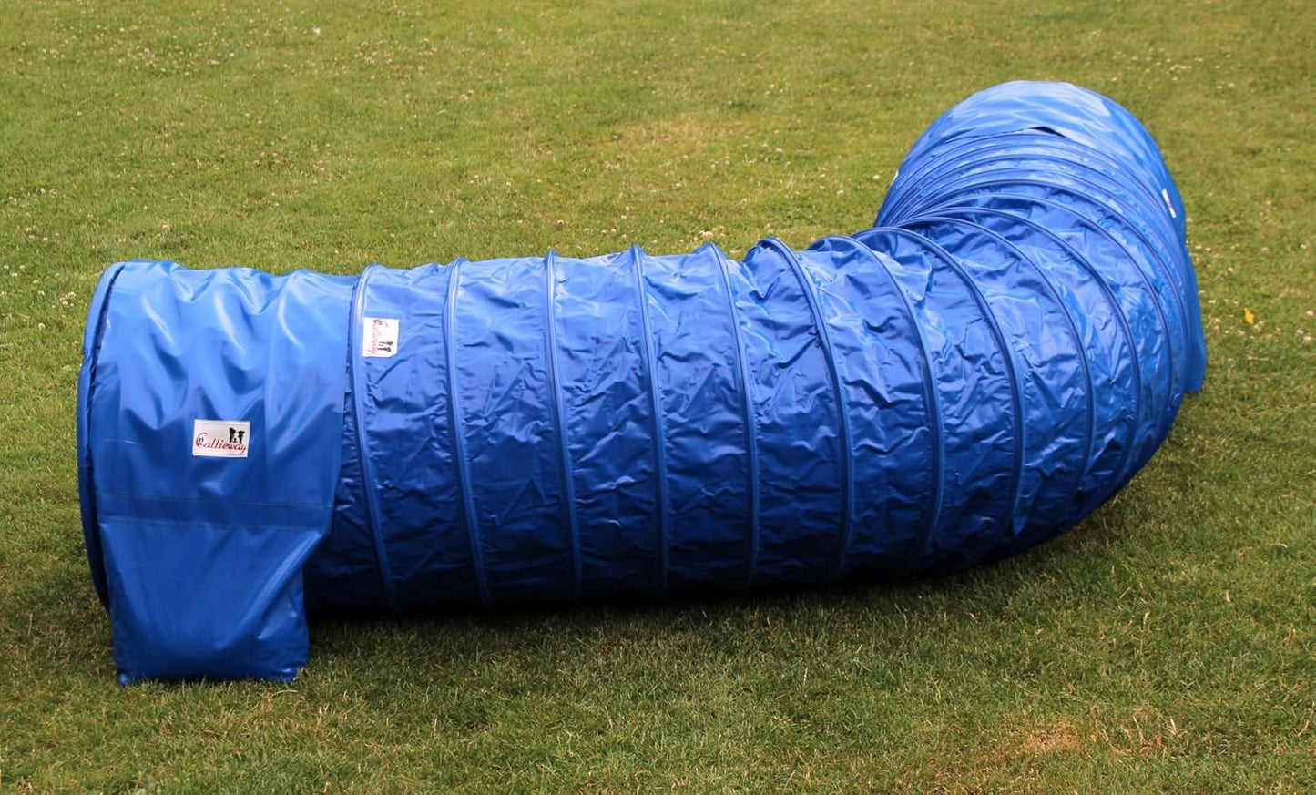 Hundetunnel Agility Gerät mit Stützsandsäcken (3m), 3m blau