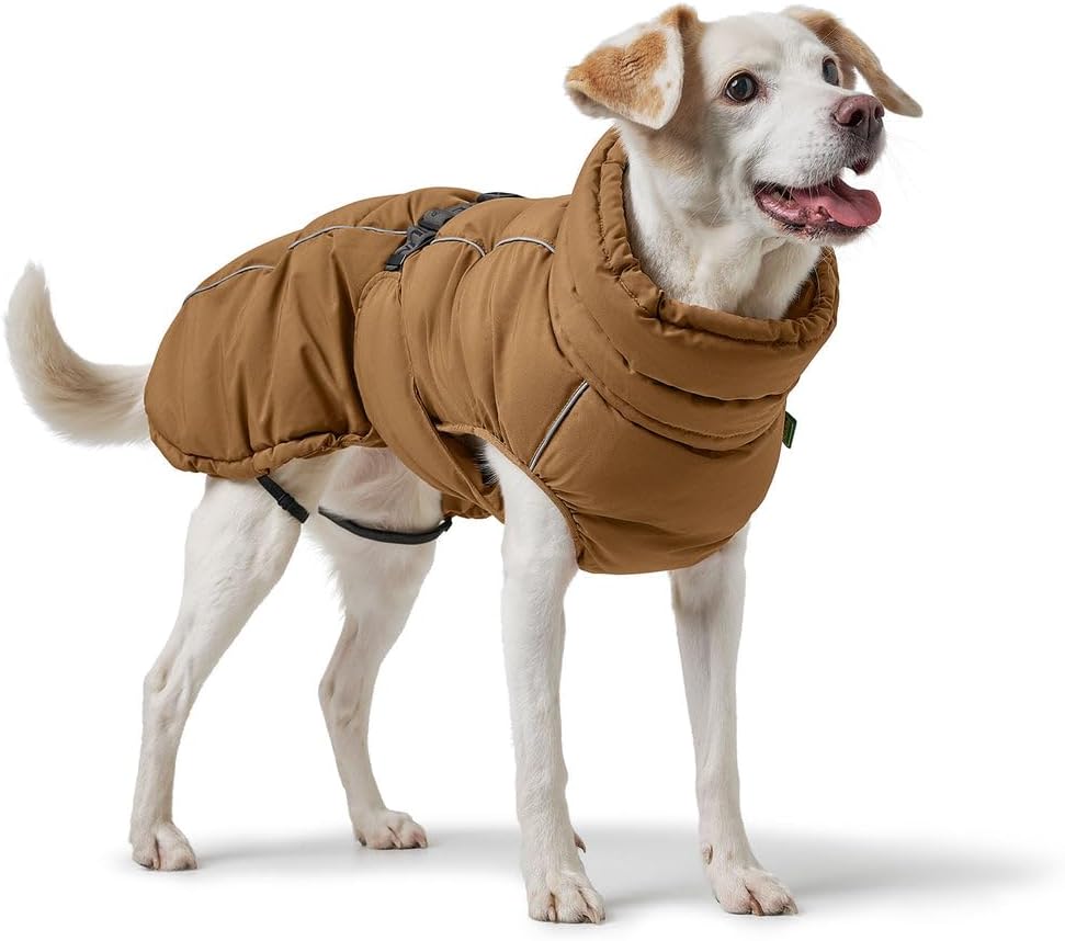 Hundemantel Paxson, 25 karamell
