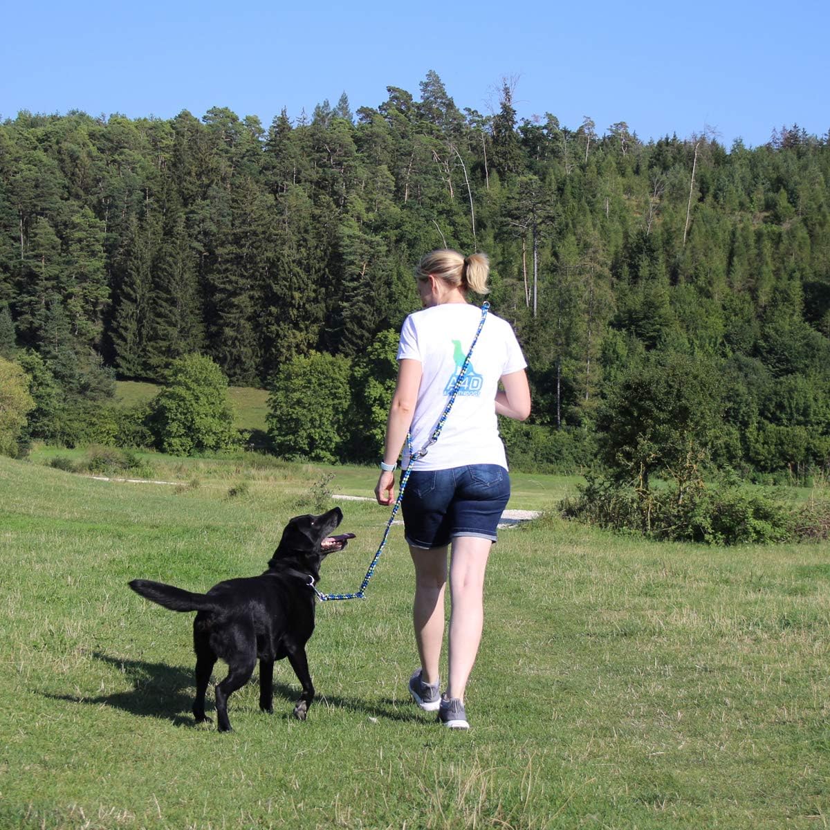 Geflochtene Hundeleine, 4-fach verstellbar, 2,80 m, 2,80m apfelgrün-wasserblau-marineblau-weiß