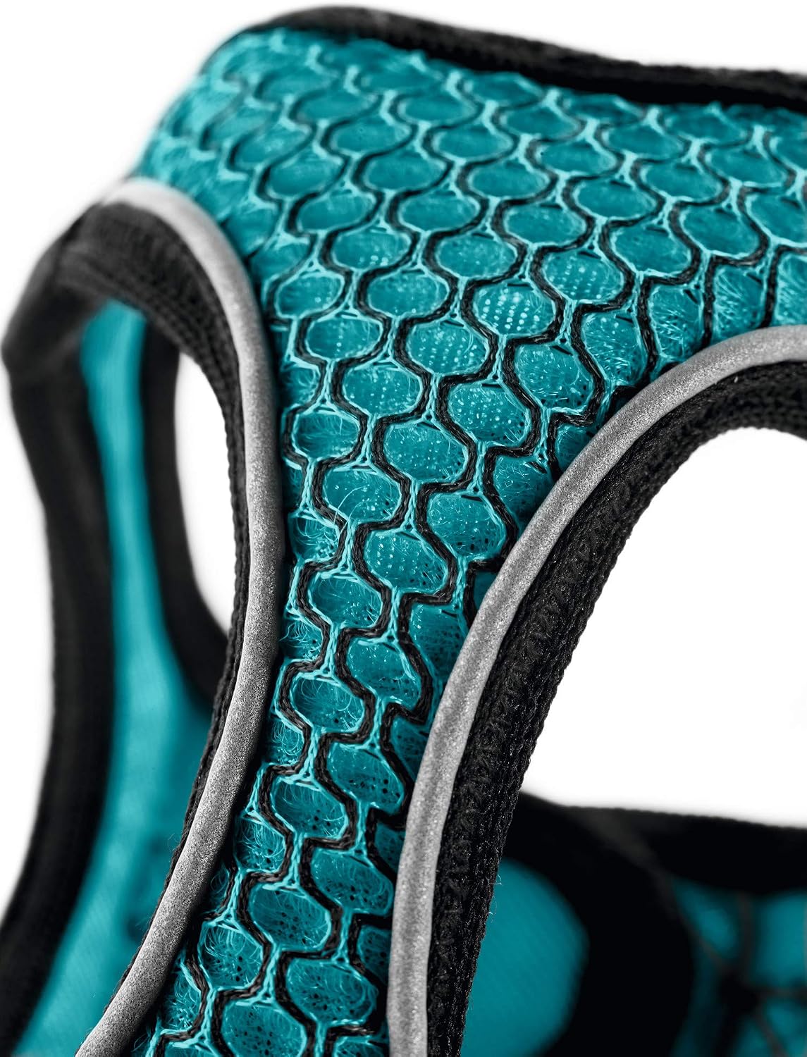 Hundegeschirr Hilo Comfort, türkis XXS