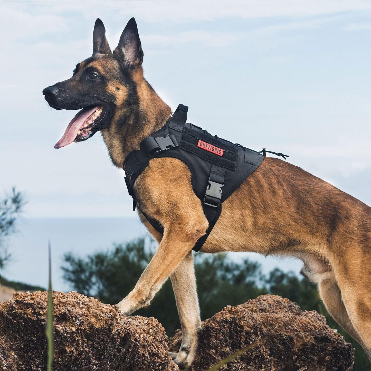 Fire Watcher Hundegeschirr, L Schwarz