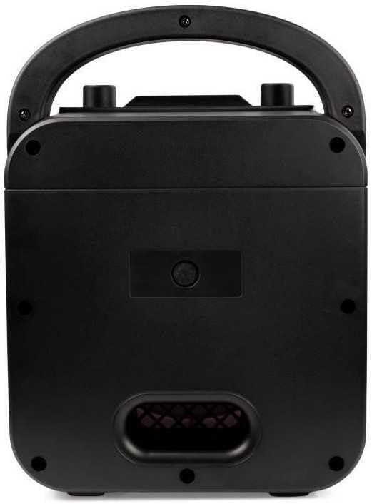 Bluetooth Karaoke Maschine (mit 2 Mikrofonen), Black Disco Light