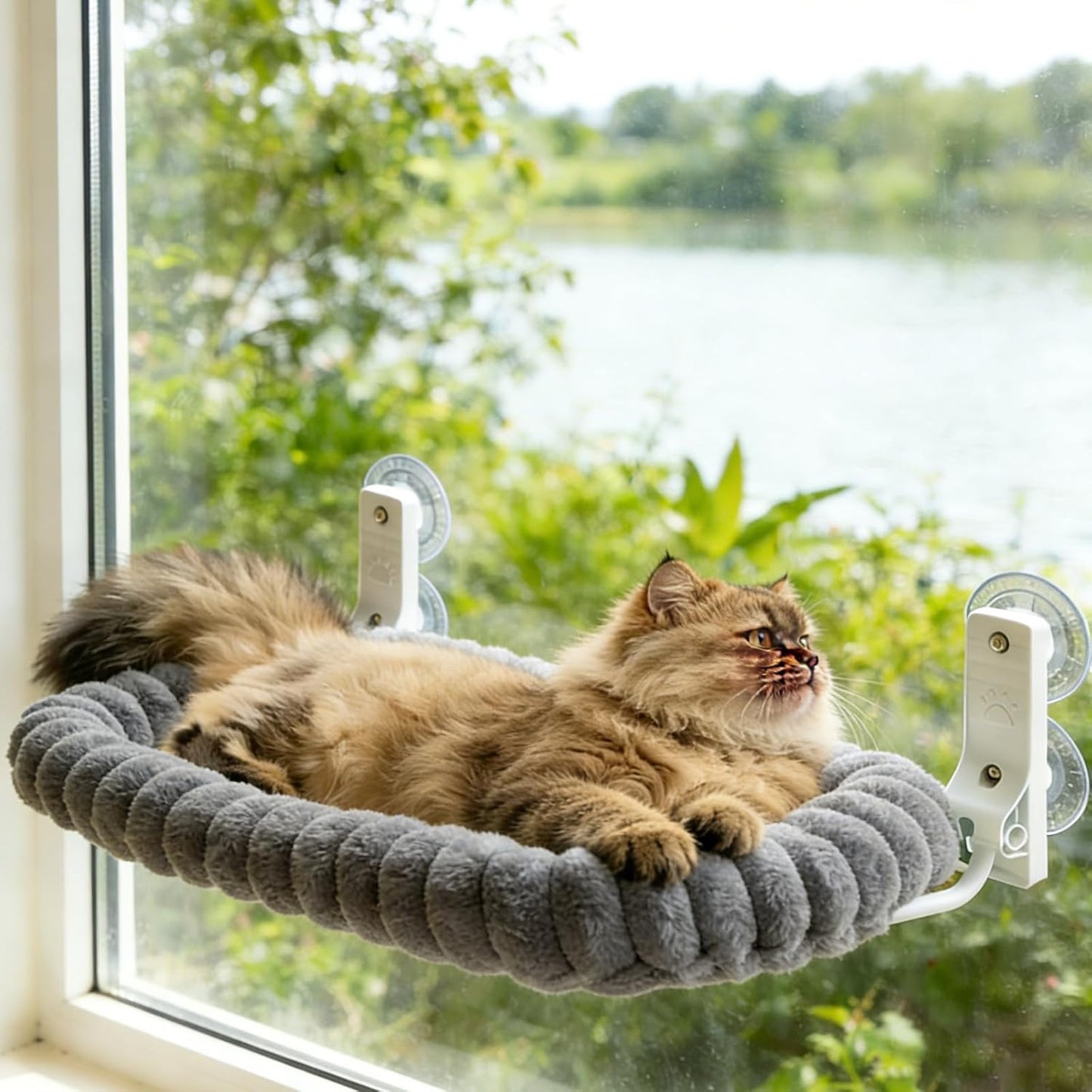 Fensterliege für Katzen, Grau