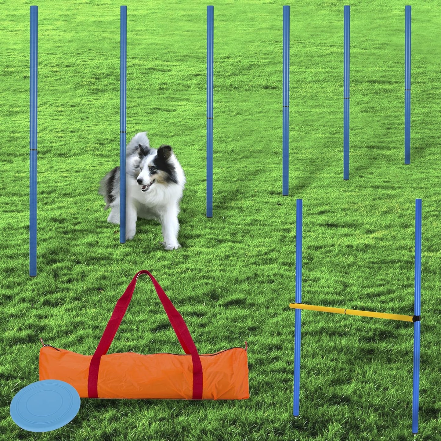 Agility-Trainingsset: Slalom Stangen mit Hürde, 12 Stangen + 3 Hindernisse blau-gelb