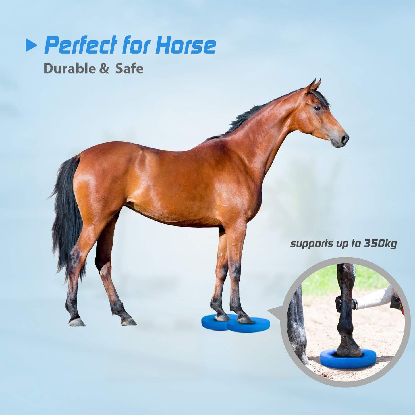 Ovales Balance Pad, Single