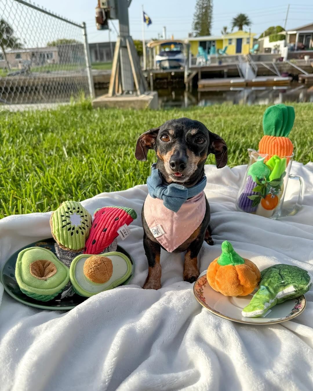 Interaktives Quietschspielzeug-Set für Hunde, 15 Stück Obst und Gemüse