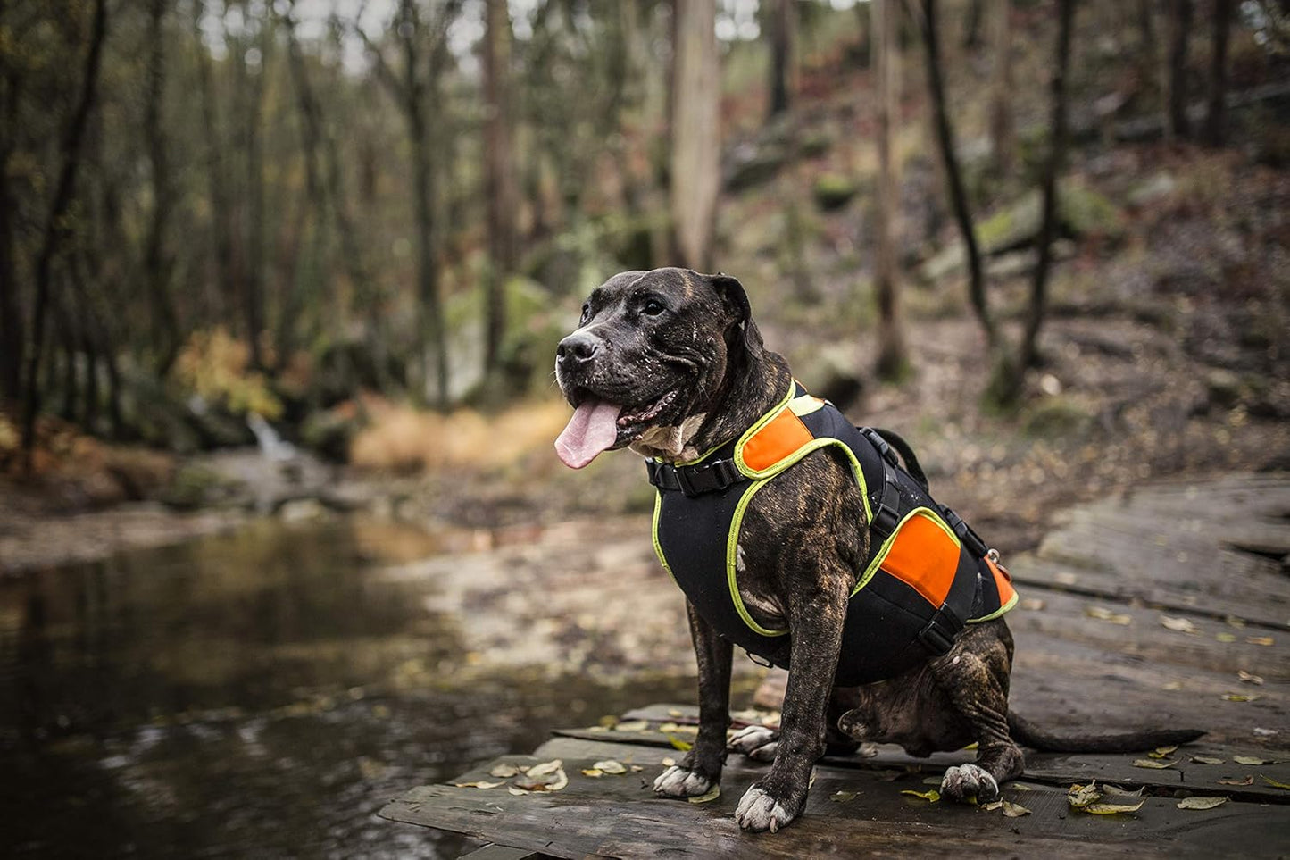 IDC multifunktionale Hundeweste 3in1, S Schwarz und Neon