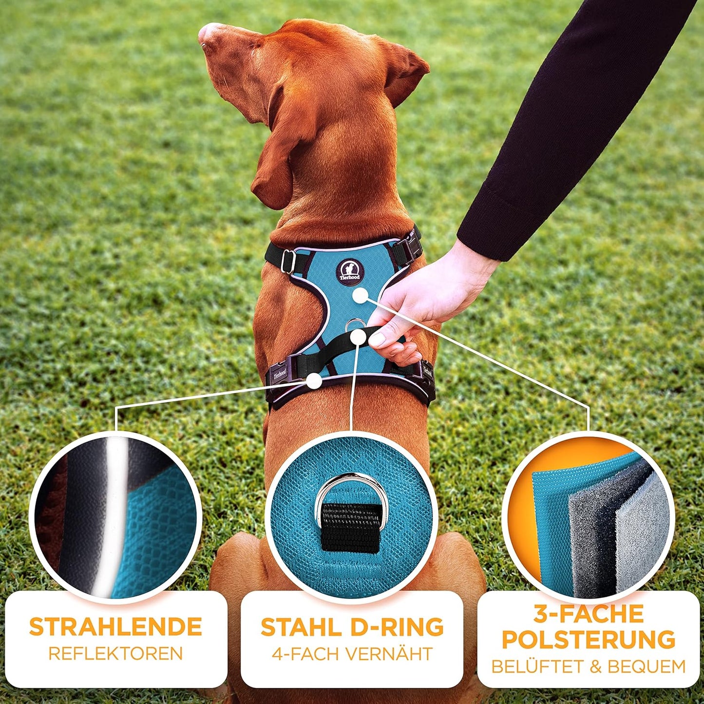 Hundegeschirr, Halsumfang (23-26cm) Brustumfang (30-37cm)|Blau