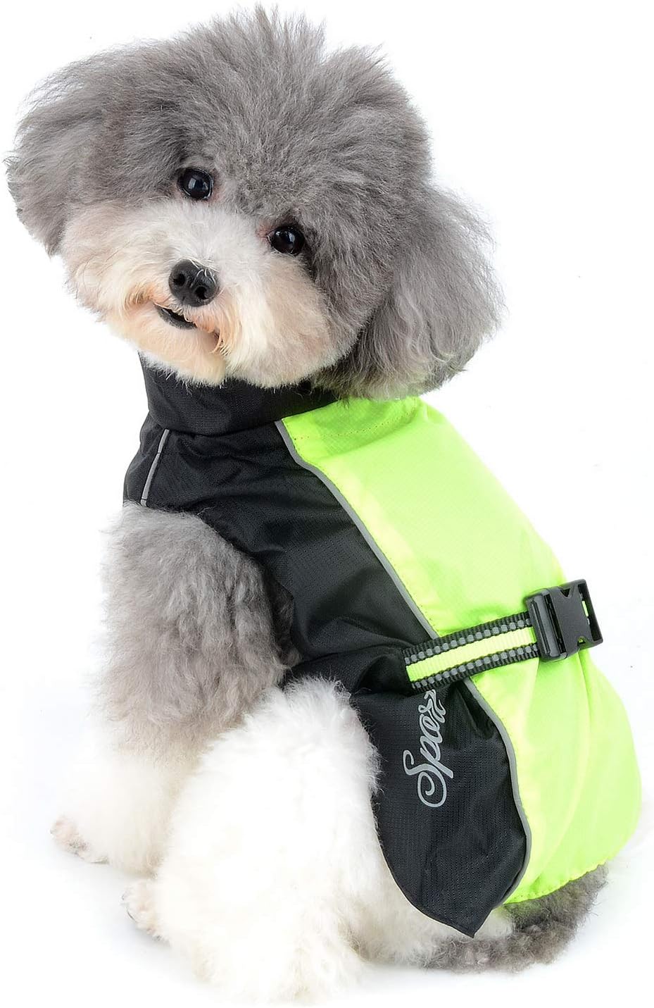 Regenmantel für kleine Hunde, 2XL (1er Pack) Grün
