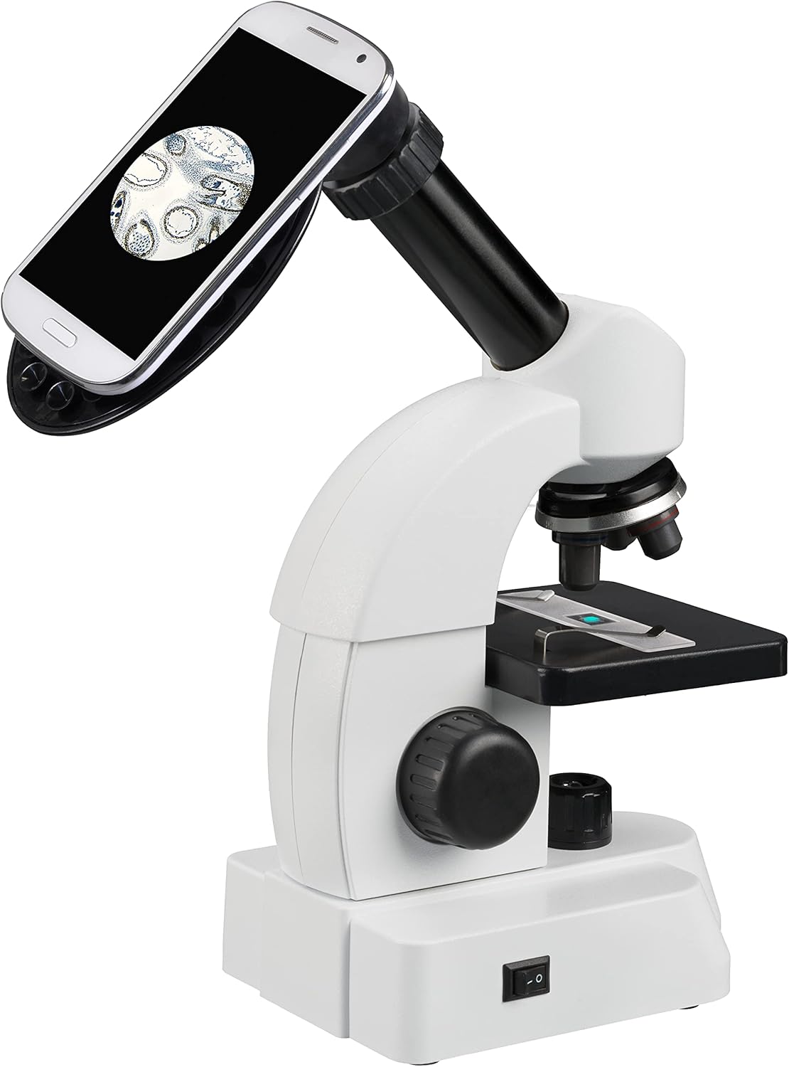 Junior Mikroskop mit Zoom-Okular (40x-640x) Starterset