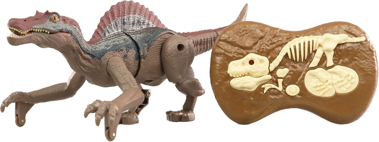RC Dinosaurier Spinosaurus Spielzeug 21cm RTR