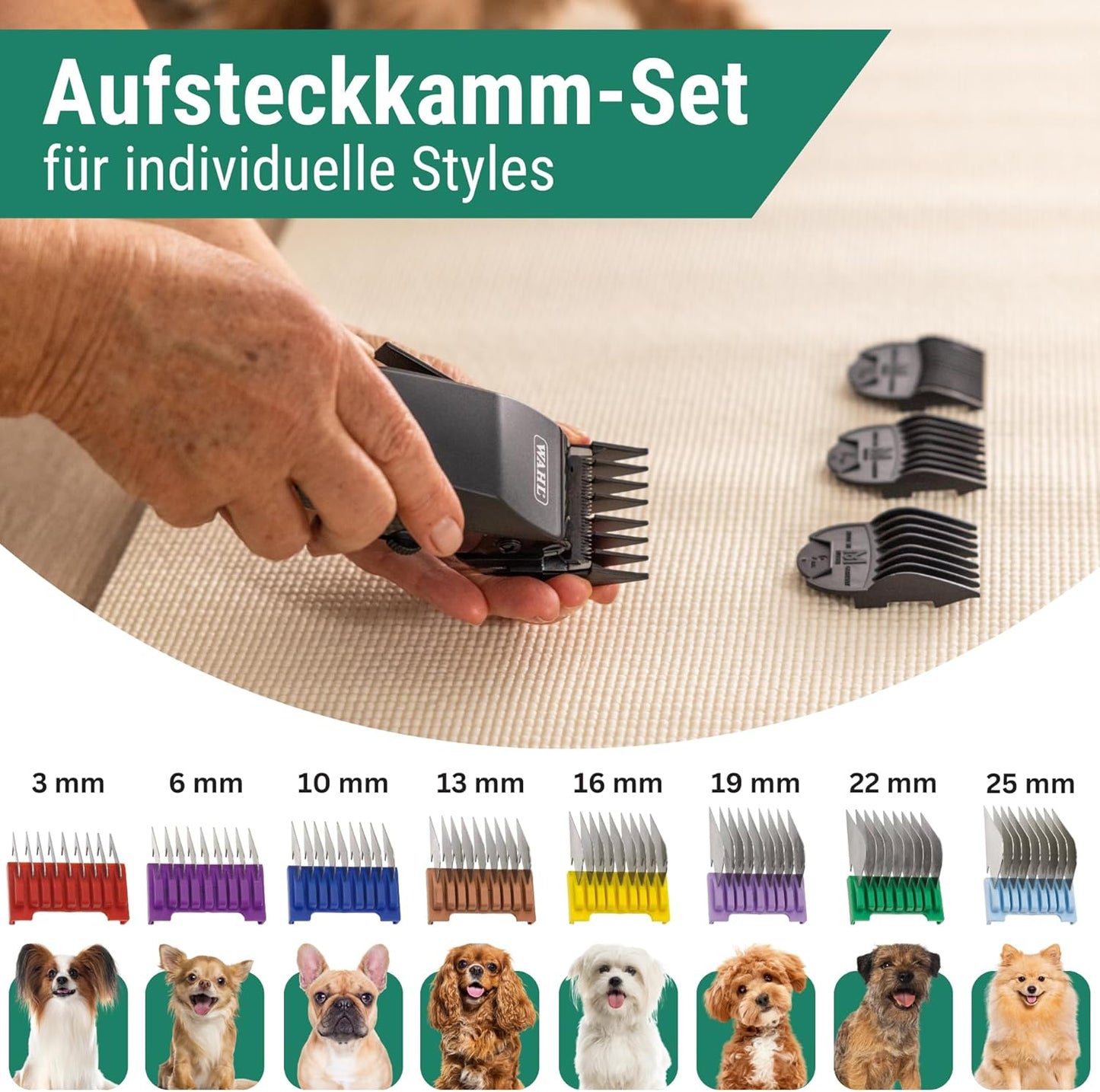 Edition Moser Arco Pro Hundeschermaschine mit Aufsteckkamm Set, 1 Akku