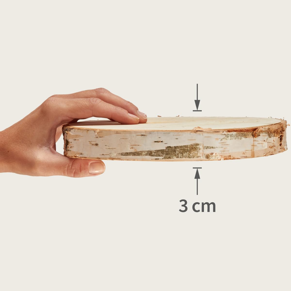Holzscheiben-Set, 10 Stück, 20 cm, 10 Ø 20 cm