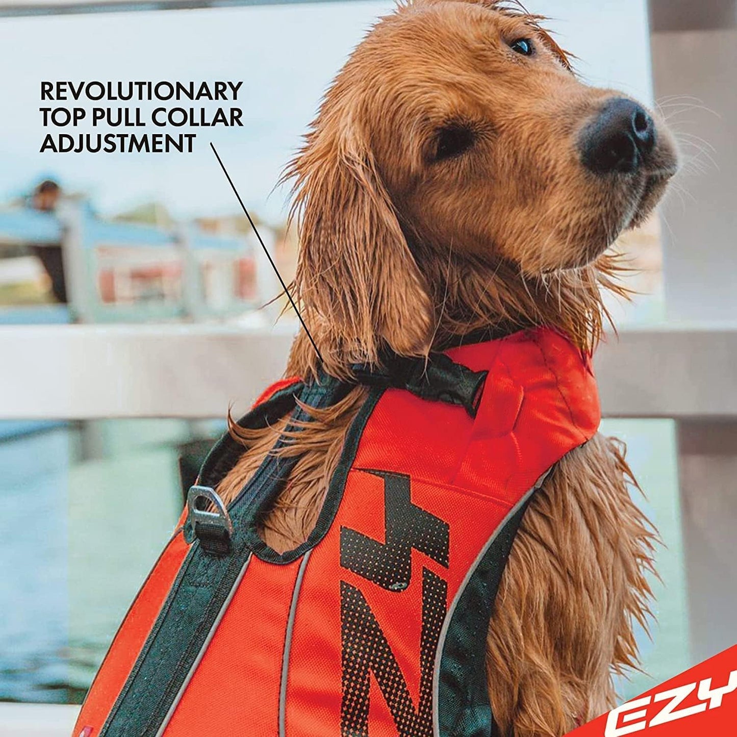 Schwimmweste für Hunde DFD X2 Boost, Rot XXXS