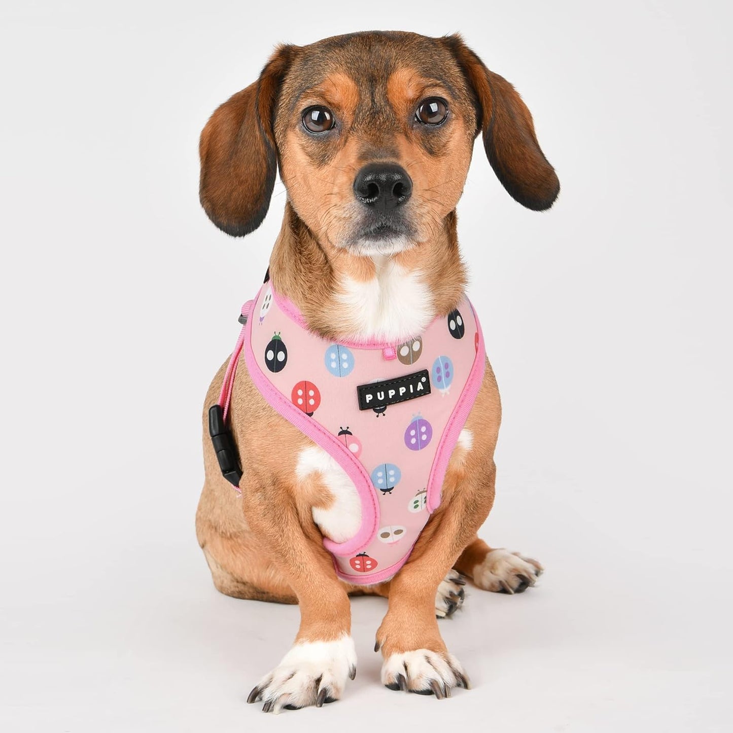 Lady Beetle Hundegeschirr A, Pink Large