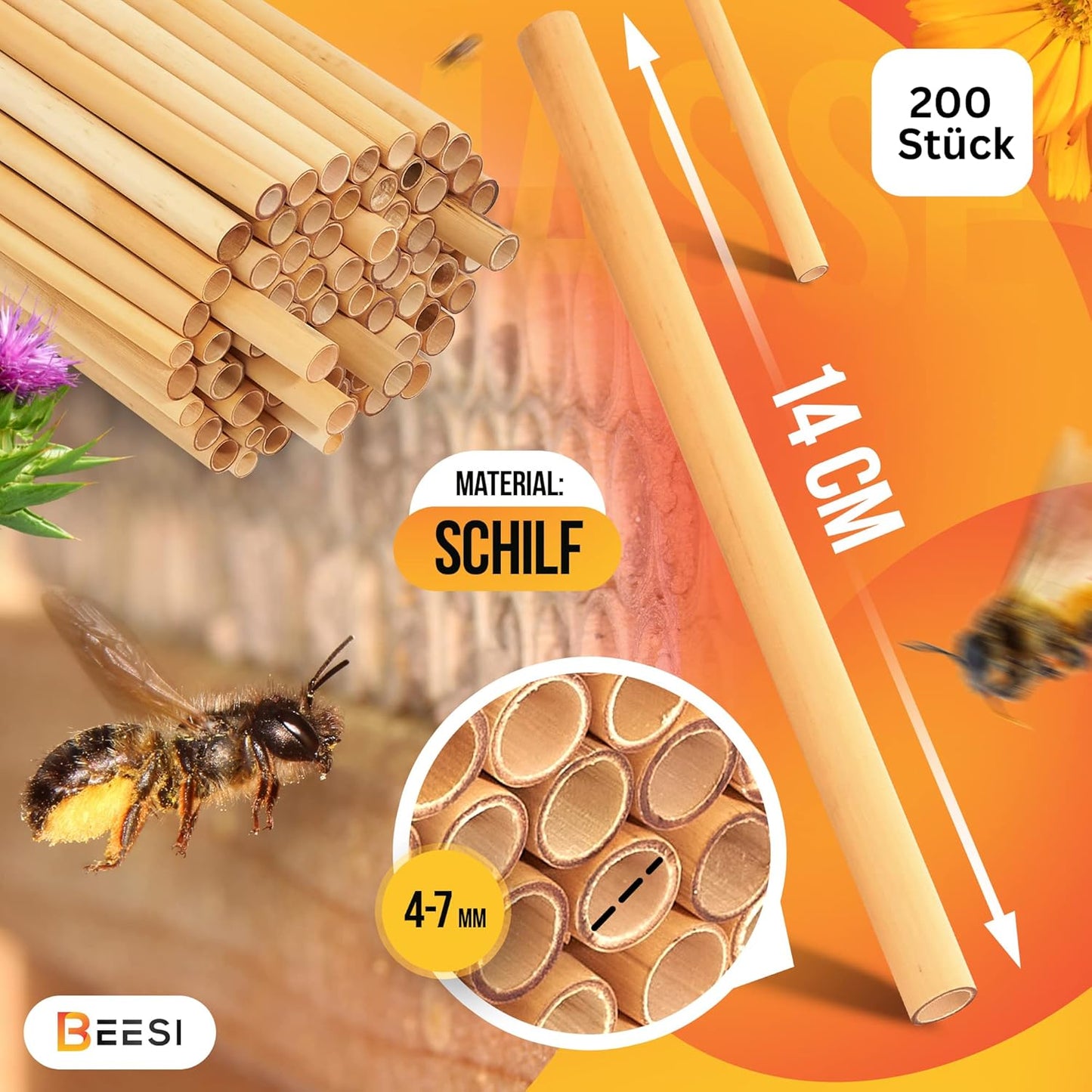 Nisthülsen aus Schilf, 200x BEESI Schilf