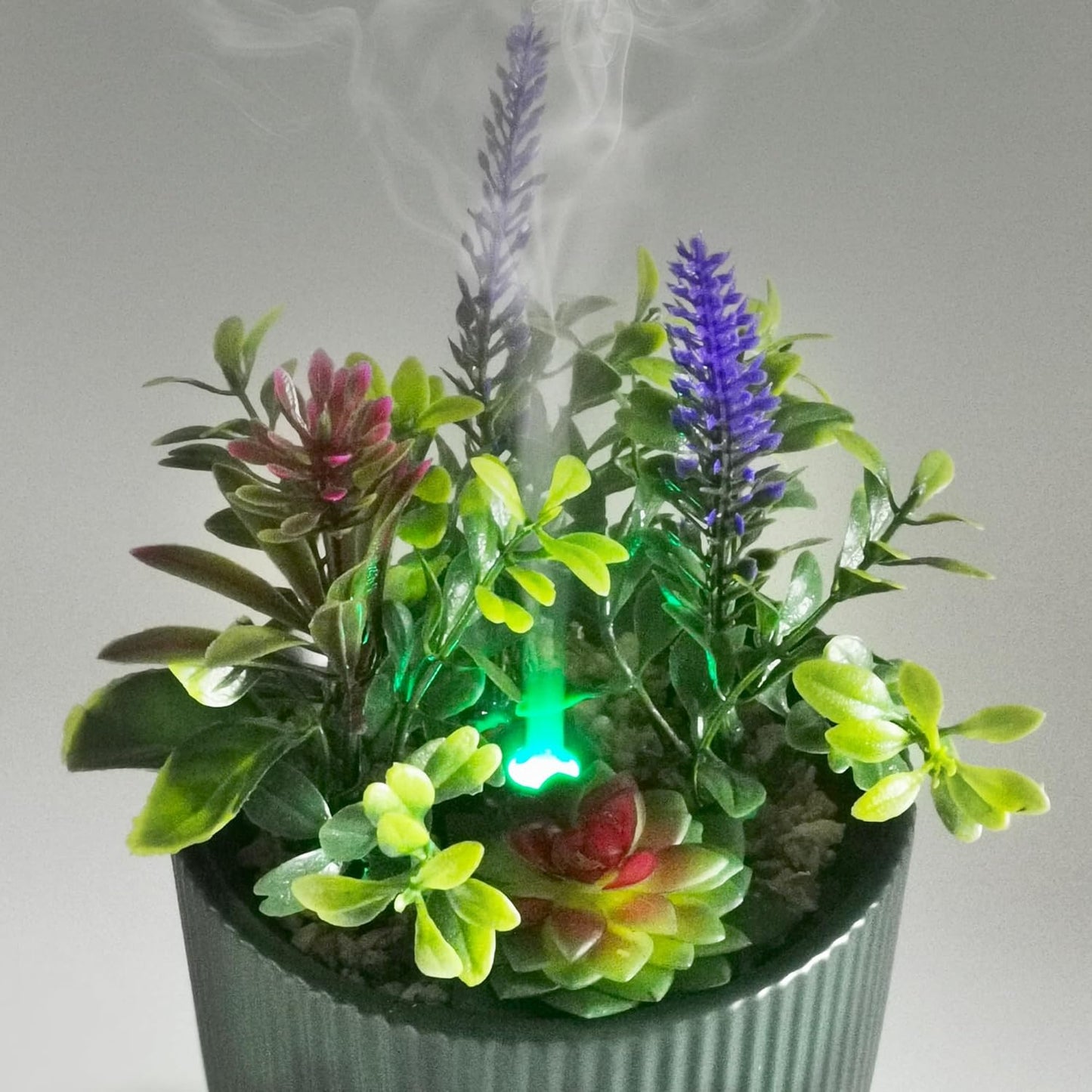 Ätherisches Öl Diffusor mit Timer & Nachtlicht und künstlichen Sukkulenten, Grün