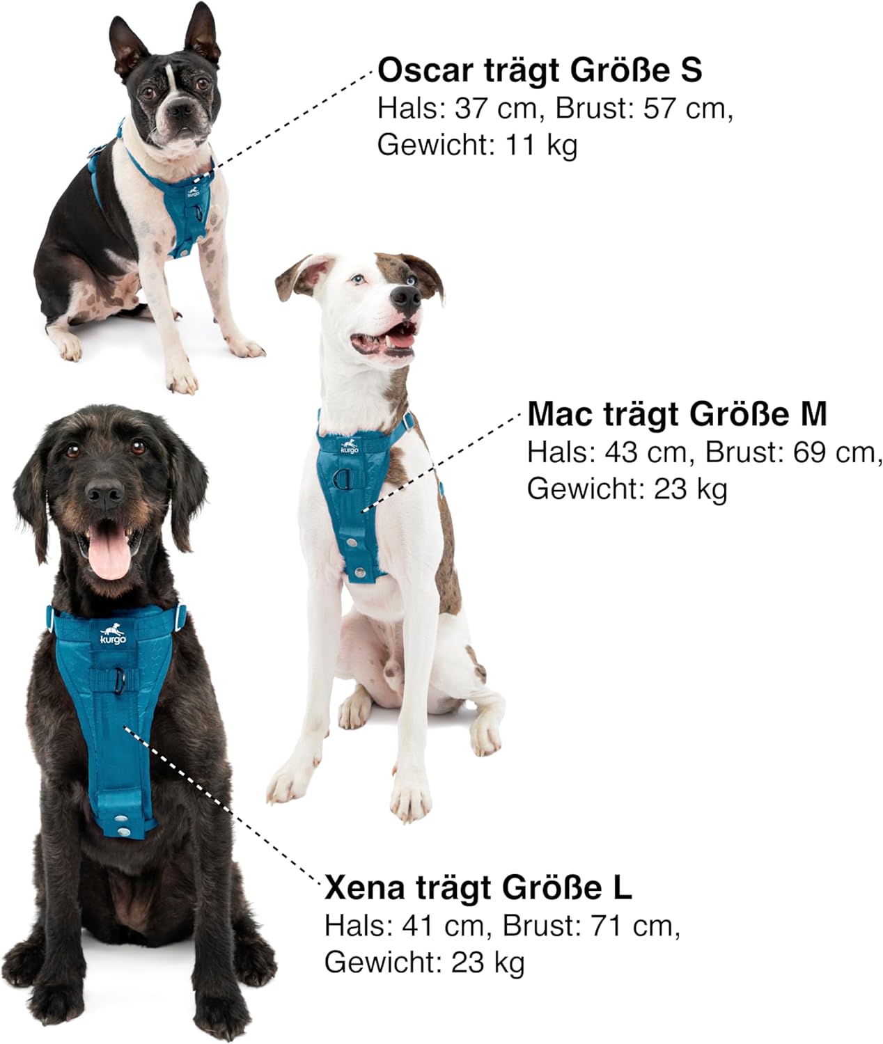 Tru-Fit Hundegeschirr mit Sicherheitsgurt für Auto, Tinte Blau S