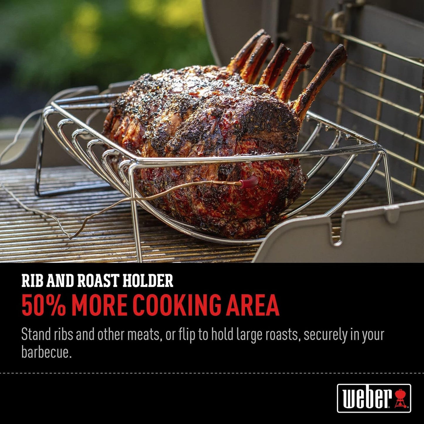Spare-Rib-Halter, Single