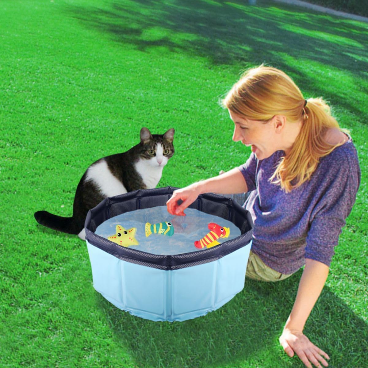 Faltbarer Katzen-Pool