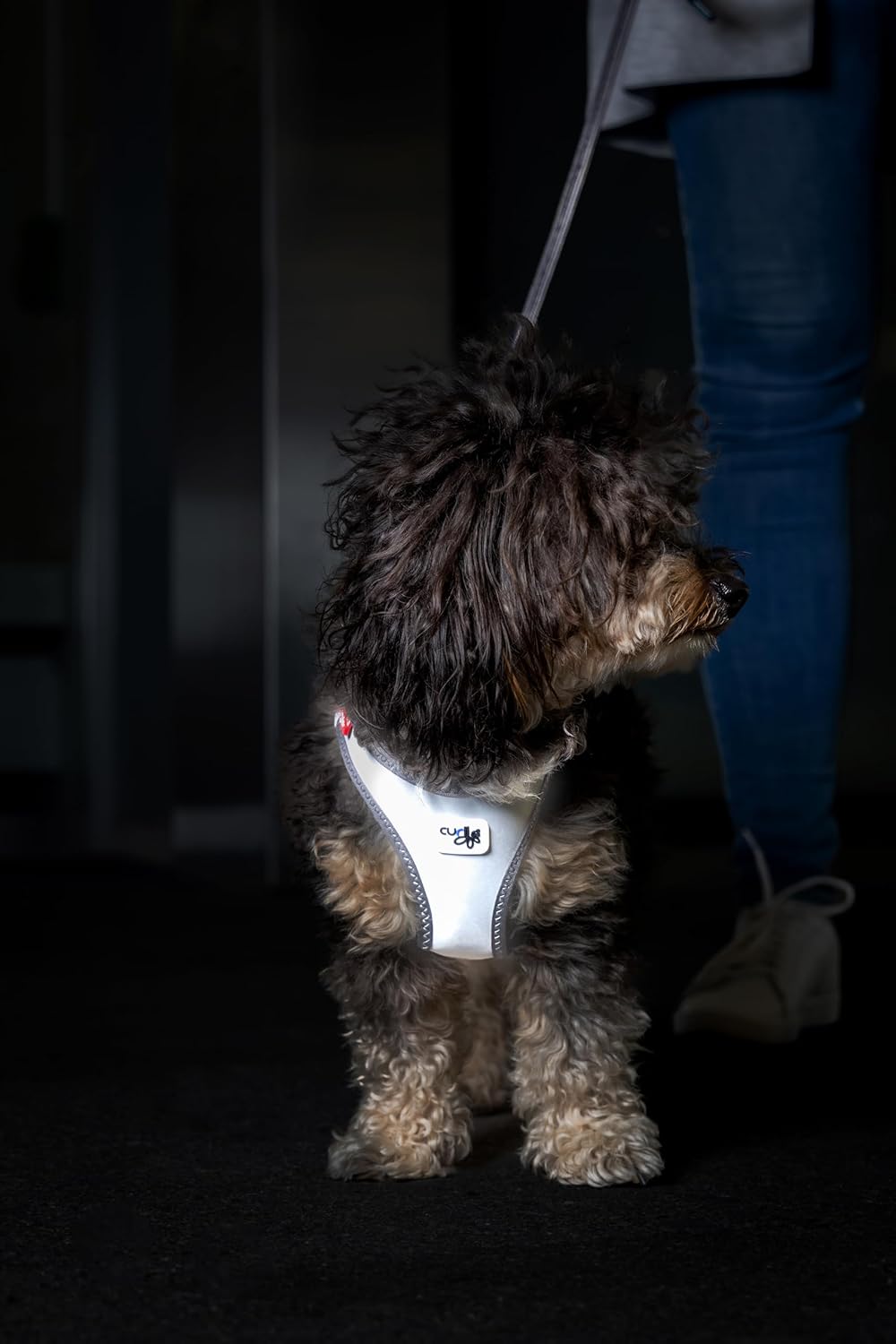 Reflektierendes Hundegeschirr, L