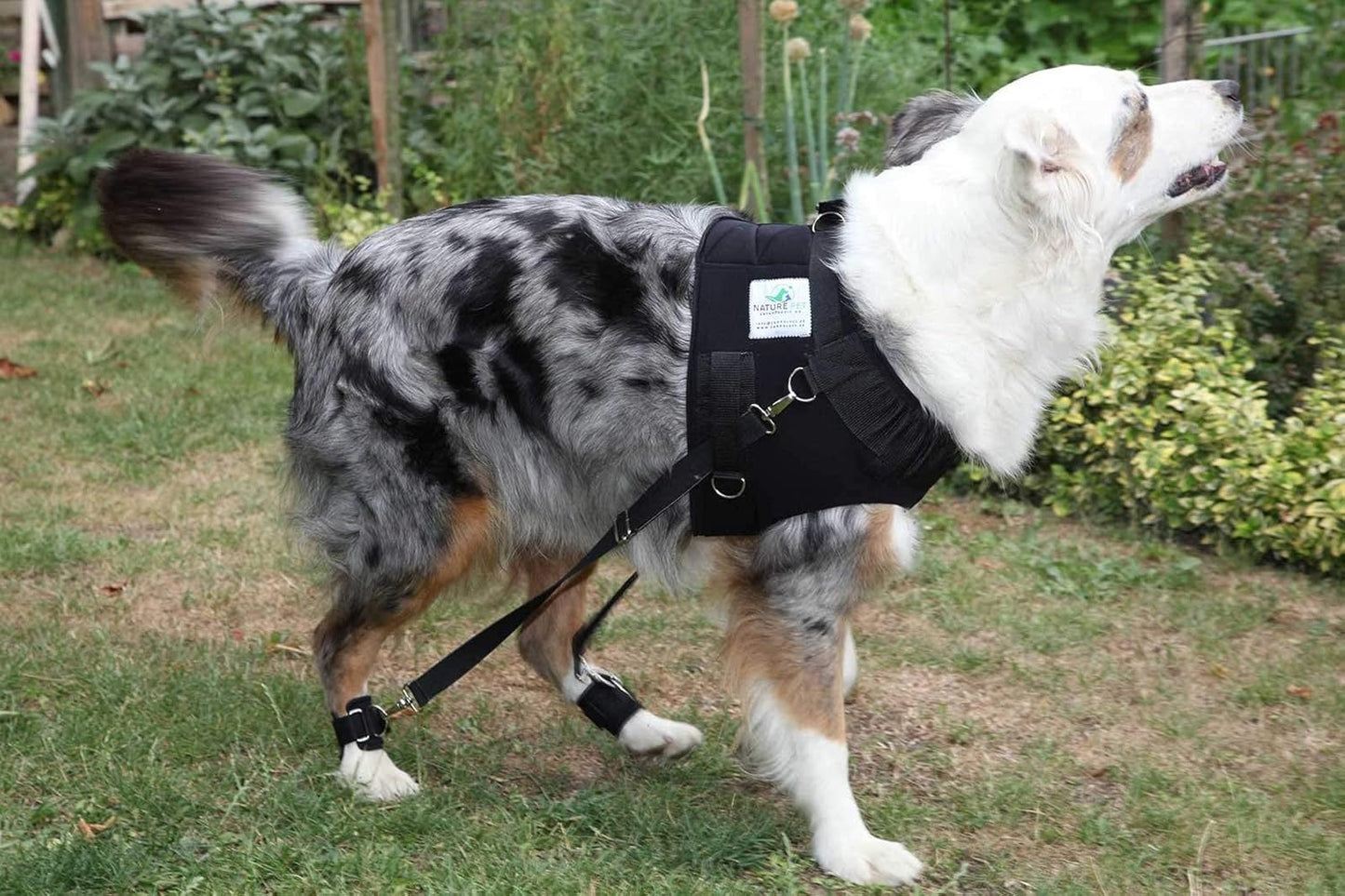 Brust-, Reha- & Trainingsgeschirr für Hunde mit Gelenkproblemen, XS, Schwarz