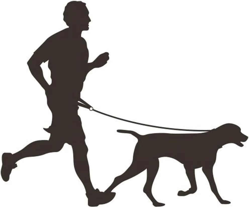 CaniCross Joggingleine mit Hüftgurt, 125 cm, verstellbar, Schwarz