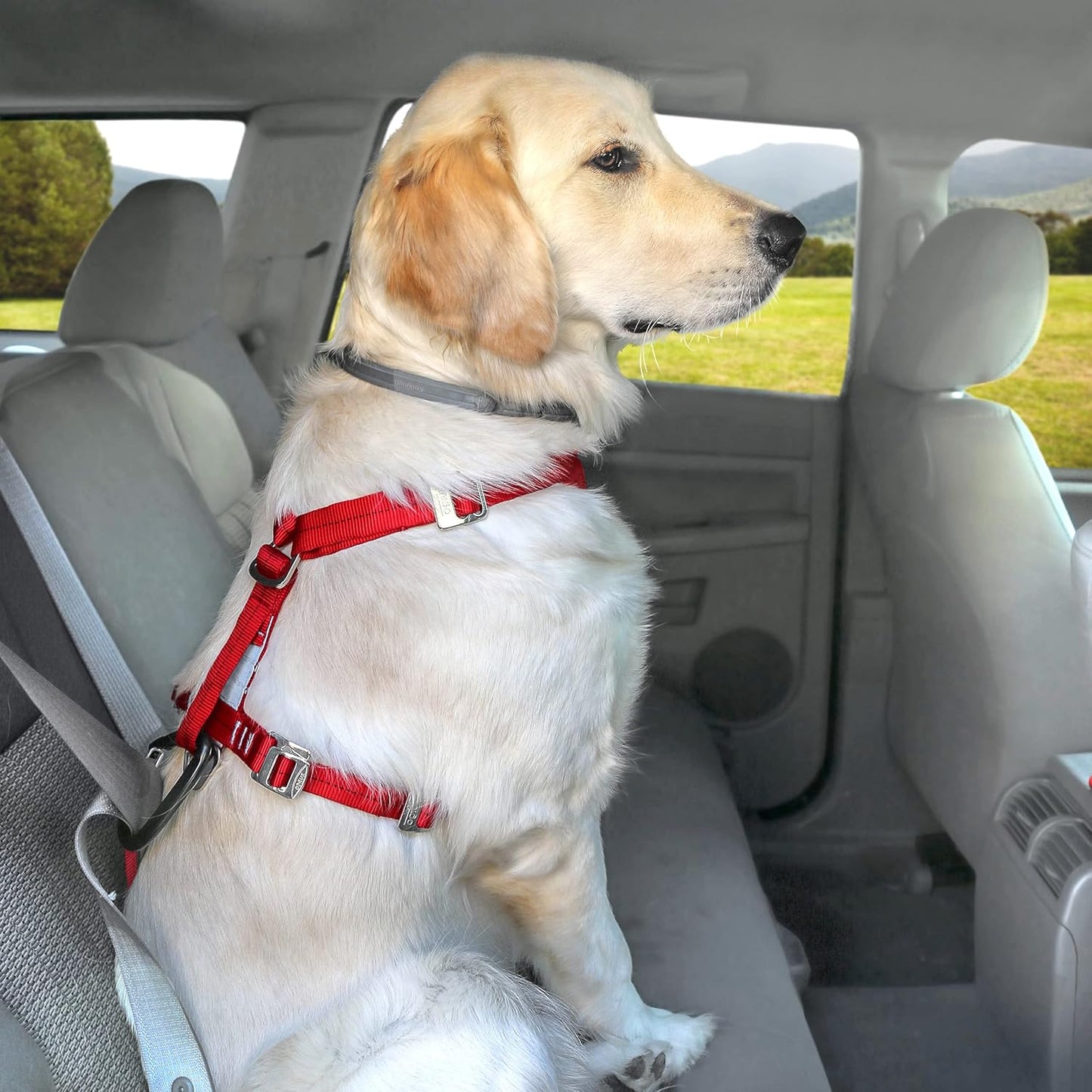 Autosicherheitsgeschirr für Hunde mit Autogurt, Grau S