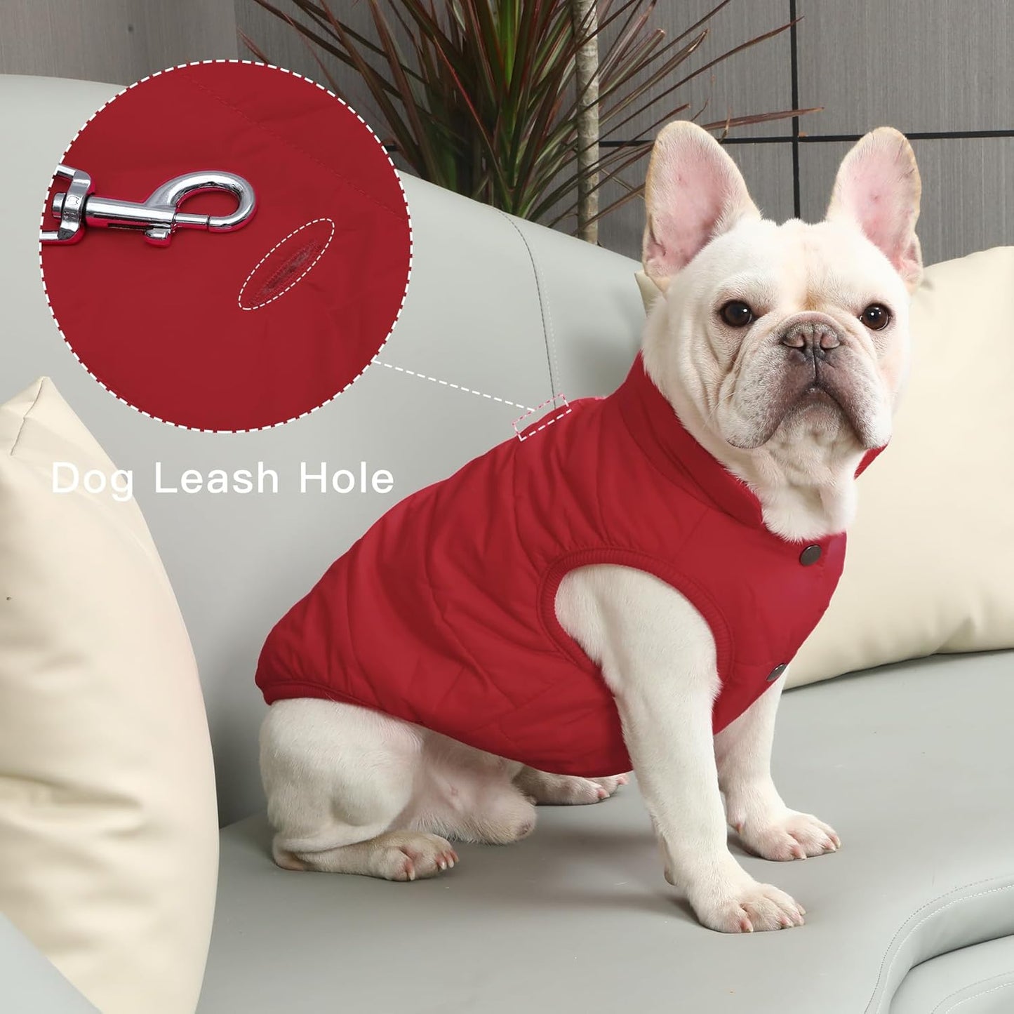 Mit Fleece gefütterte Hundejacke für kaltes Wetter, M Rot
