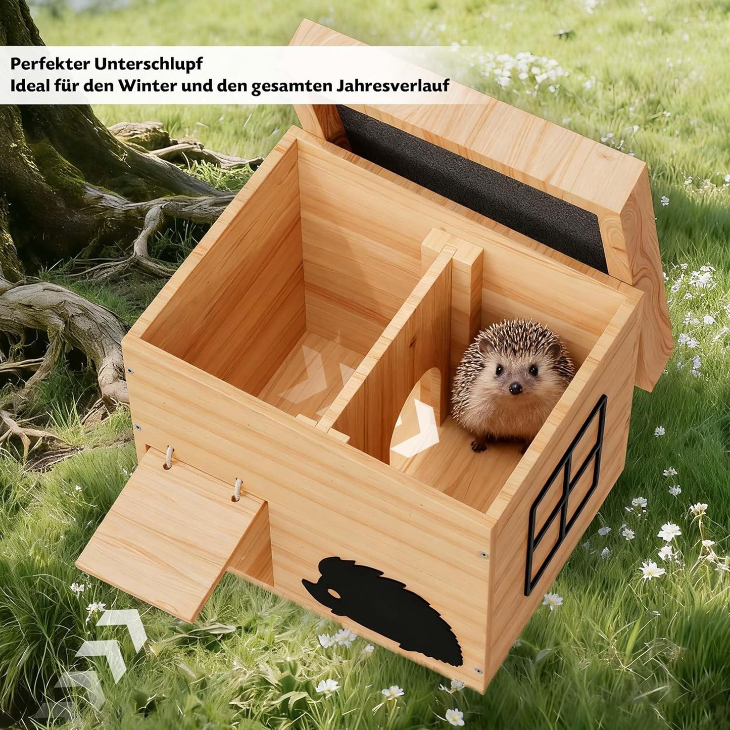 Wetterfestes Igelhaus, Buche