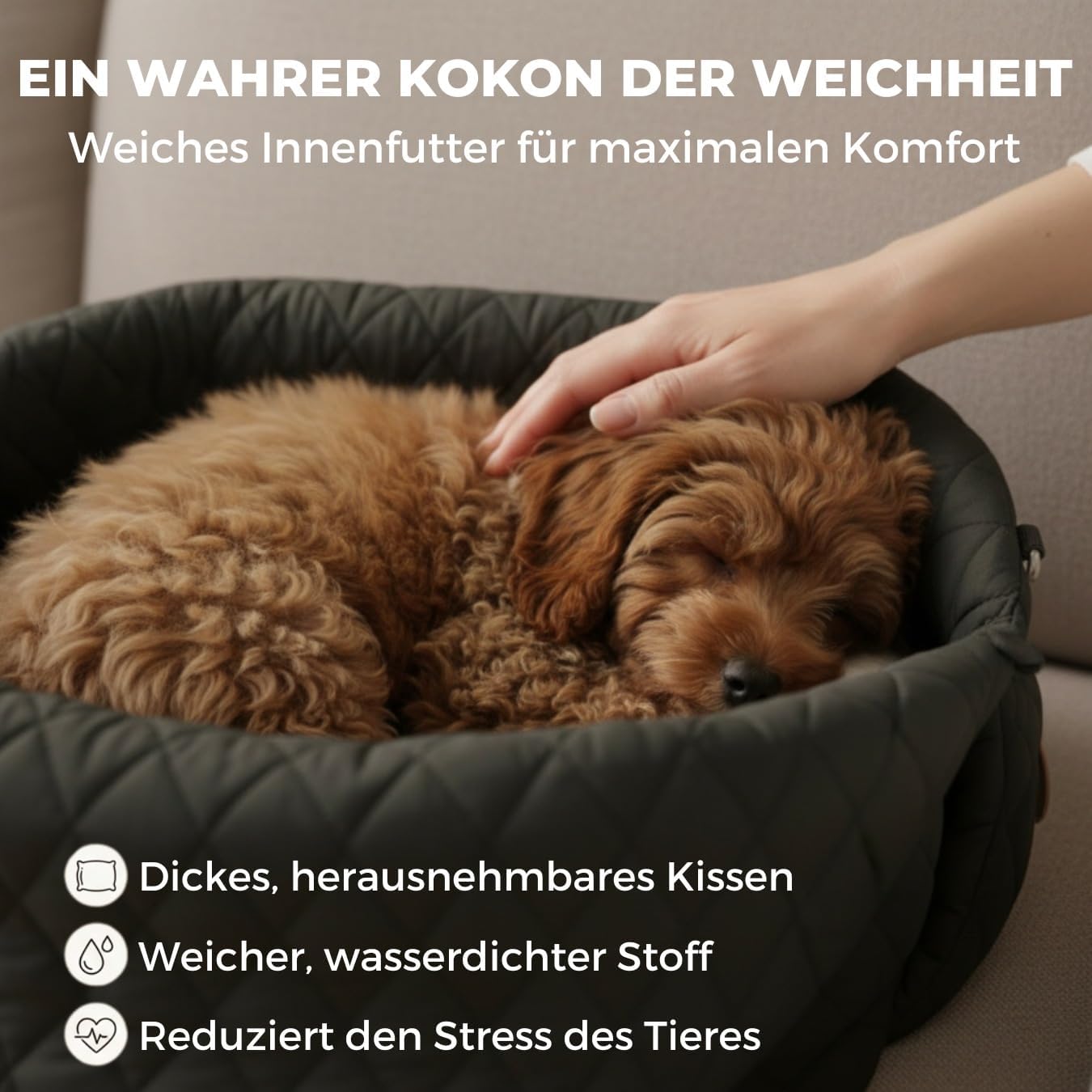 Hundetransporttasche fürs Auto mit Sicherheitsleine, Schwarz