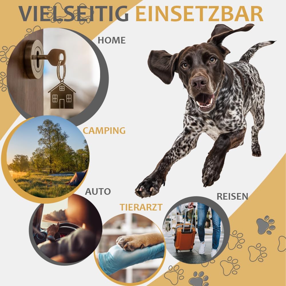 Faltbare Hundebox mit Aufbewahrungstaschen, Tragegurt und Liegedecke, L 90 x B 60 x H 65 cm