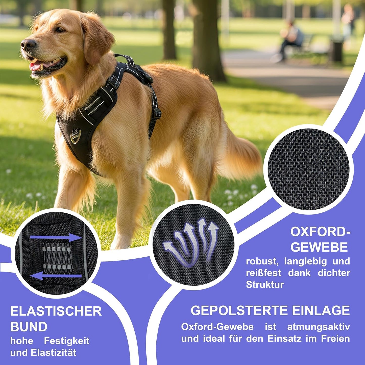 Verstellbares Hundegeschirr Mini, Schwarz - 01 XS