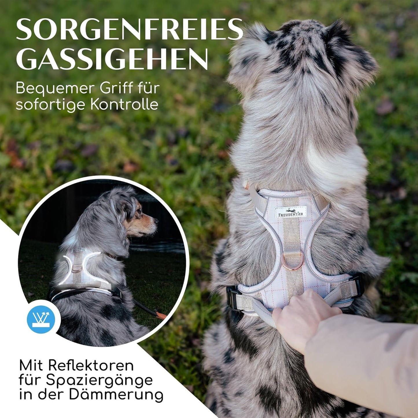 Hundegeschirr mit Griff, M