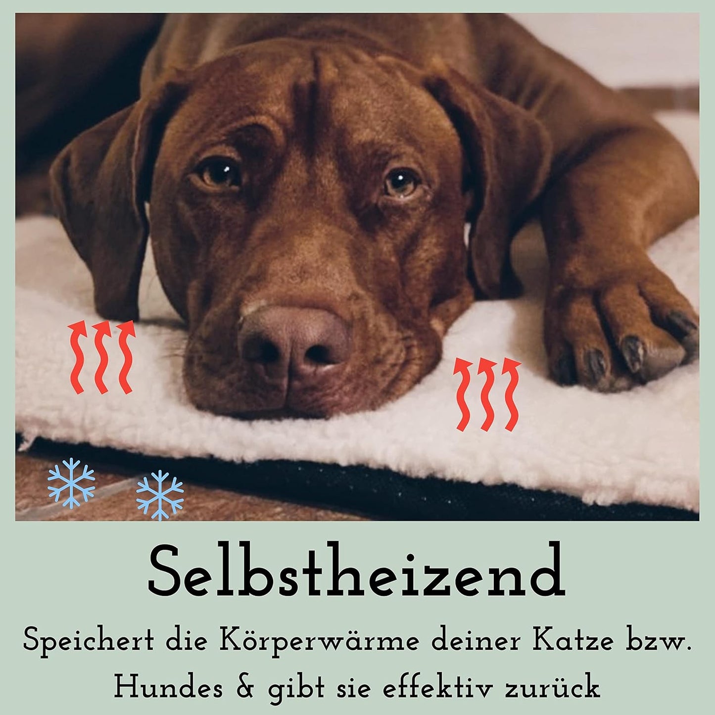 Selbstheizende Haustierdecke, L 60 x B 40 x H 3 cm / Grau