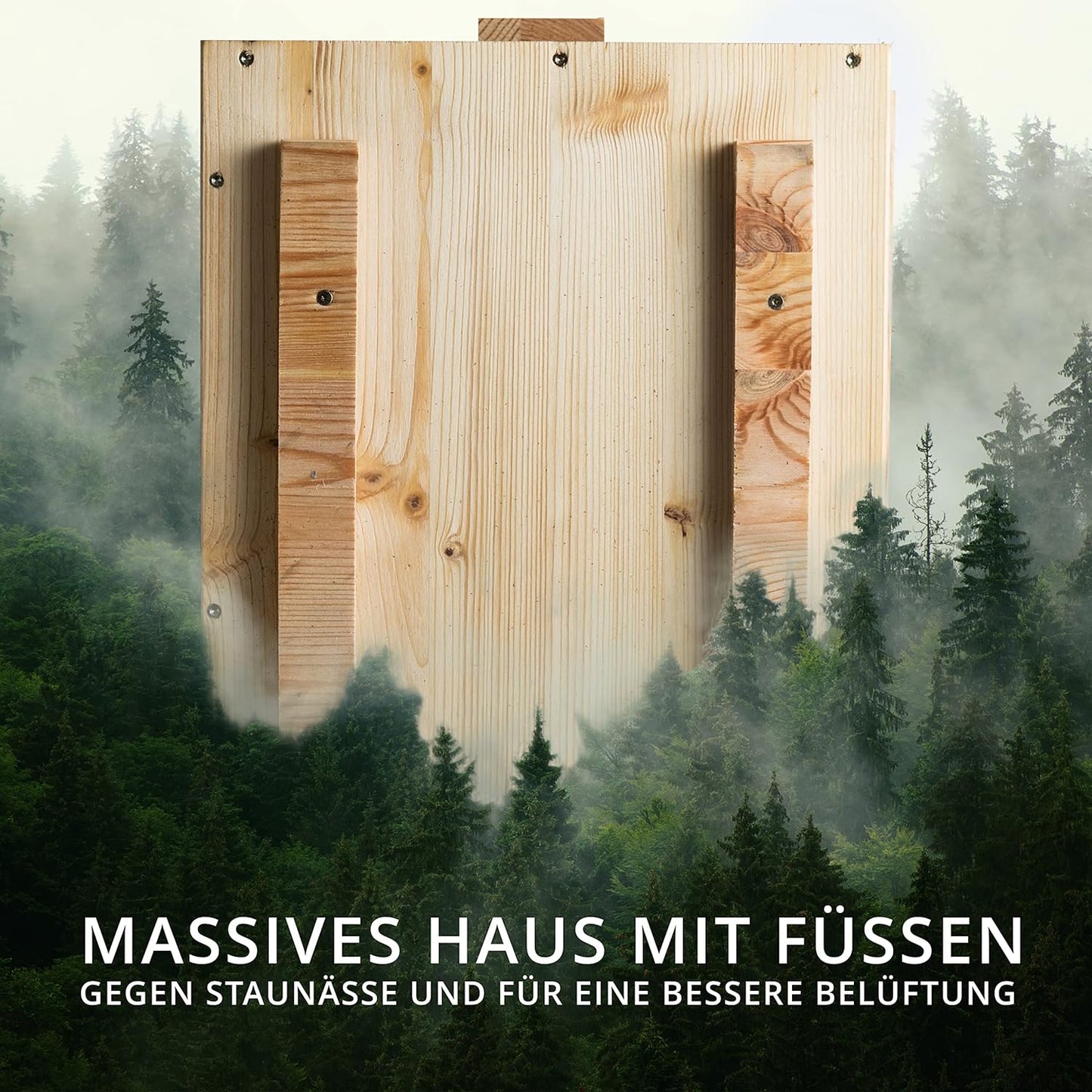 Schildkrötenhaus SH2, Lasiert