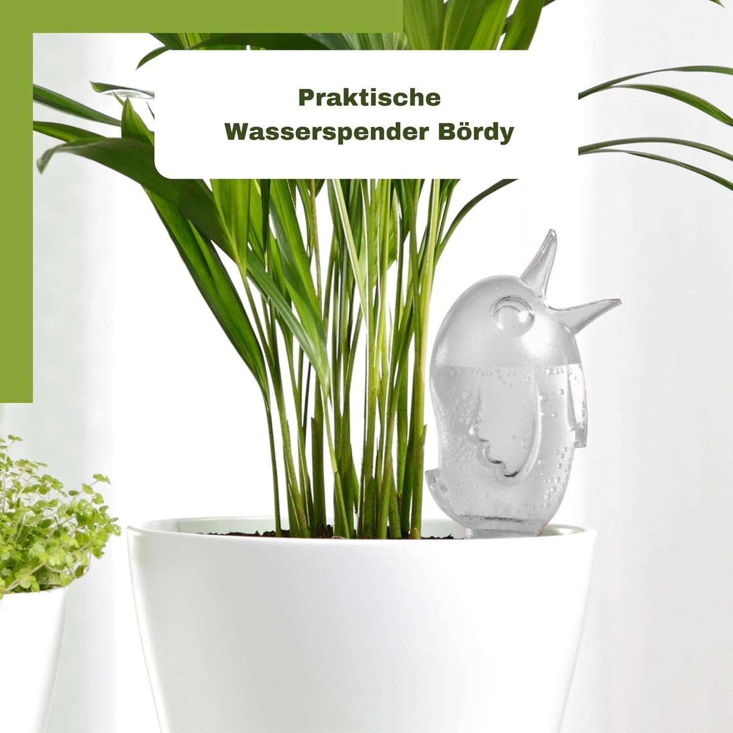 8er-Set Wasserspender Bördy S