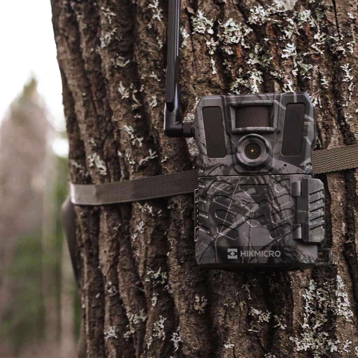 Trail Camera M15