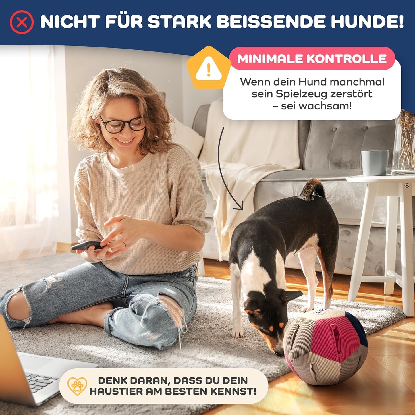 Intelligenz-Schnüffelball mit 4 Schwierigkeitsstufen